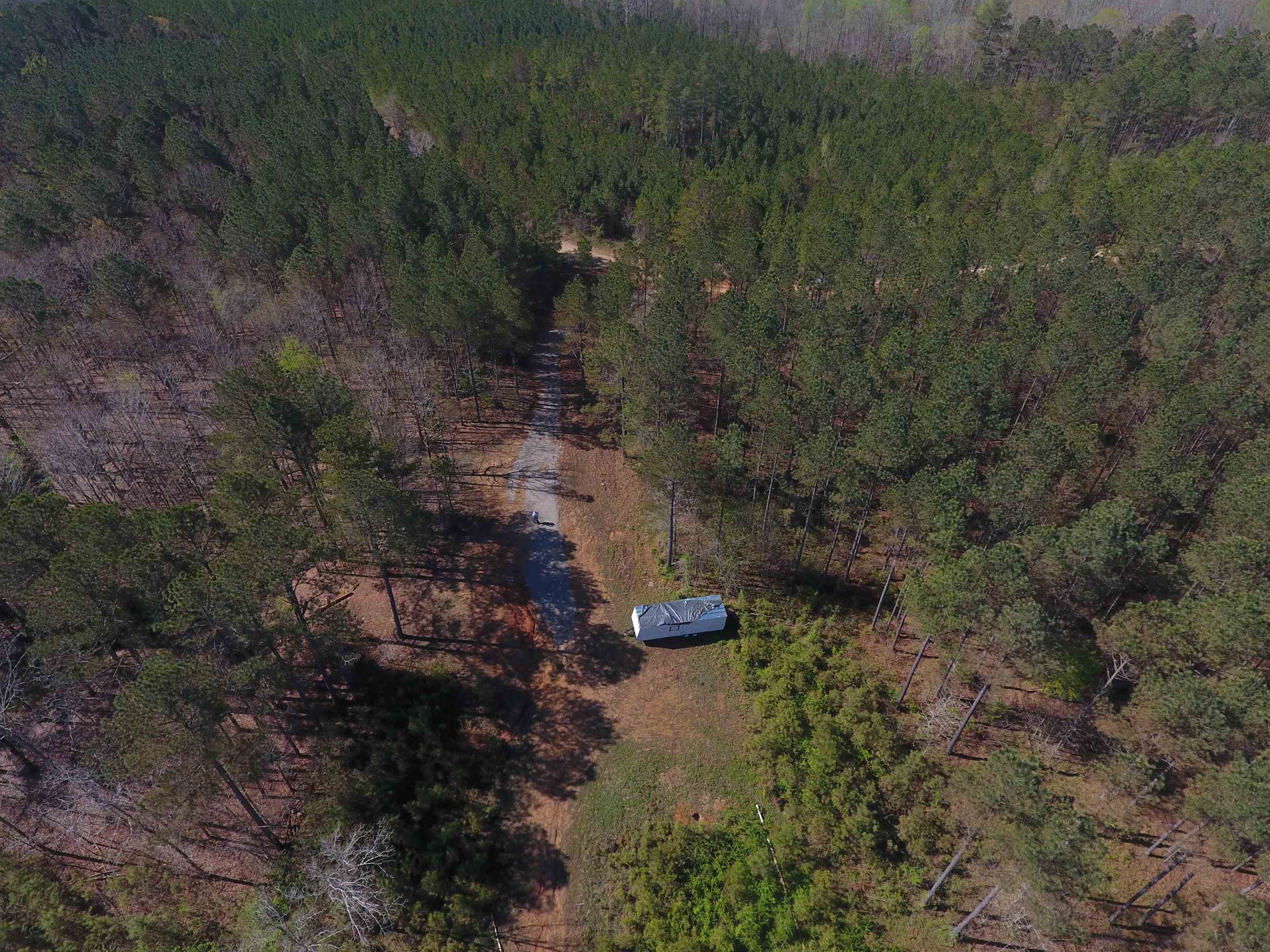 0 Dacus Road Medon, TN 38356 - Photo 3 of 23 a view of a forest with a yard