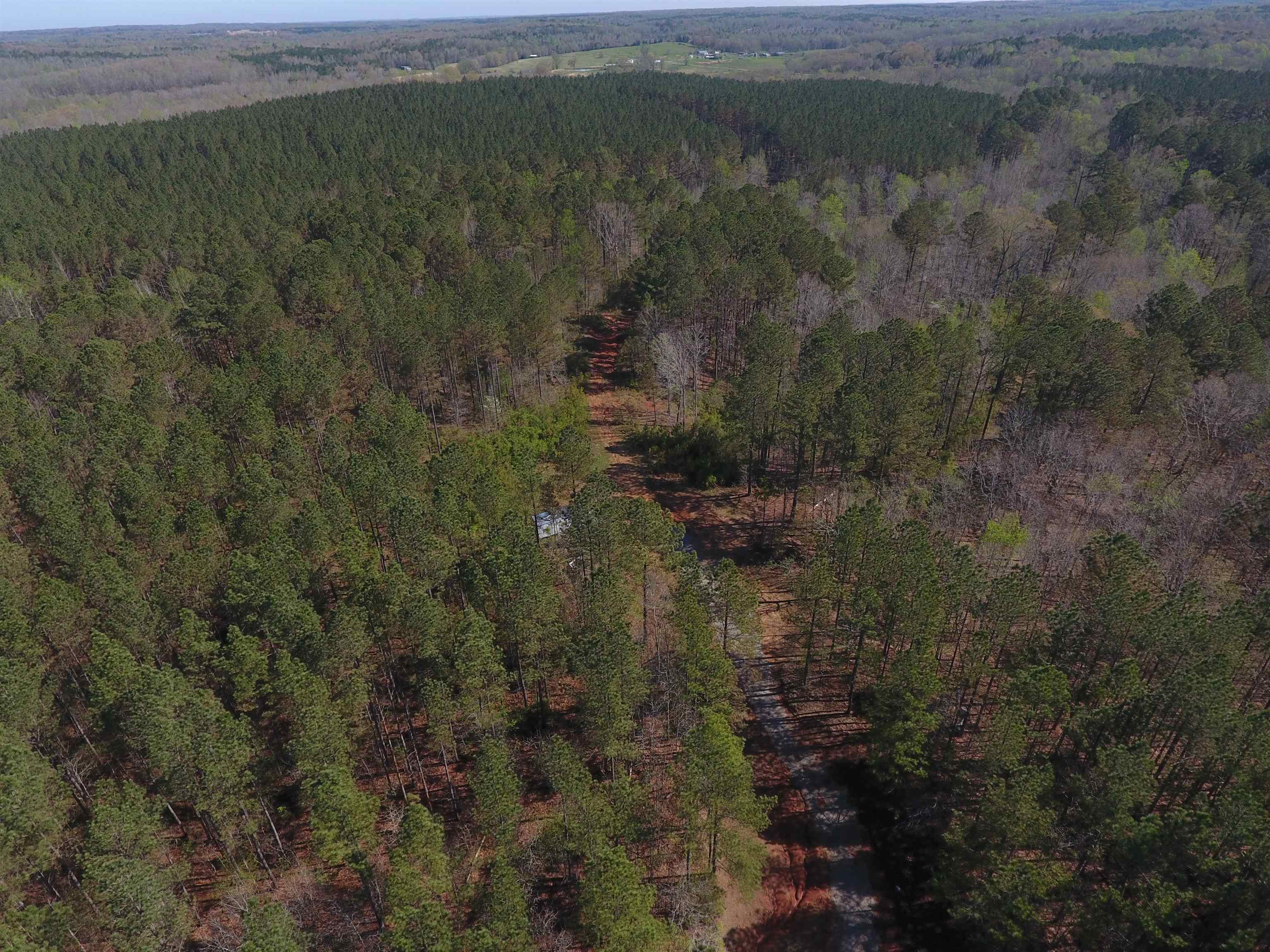 0 Dacus Road Medon, TN 38356 - Photo 4 of 23 a view of a lake with a yard of house and green space