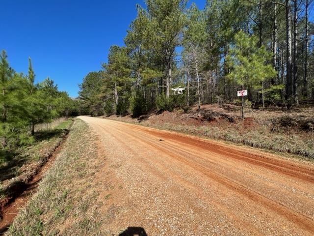 0 Dacus Road Medon, TN 38356 - Photo 8 of 23 a view of backyard with green space