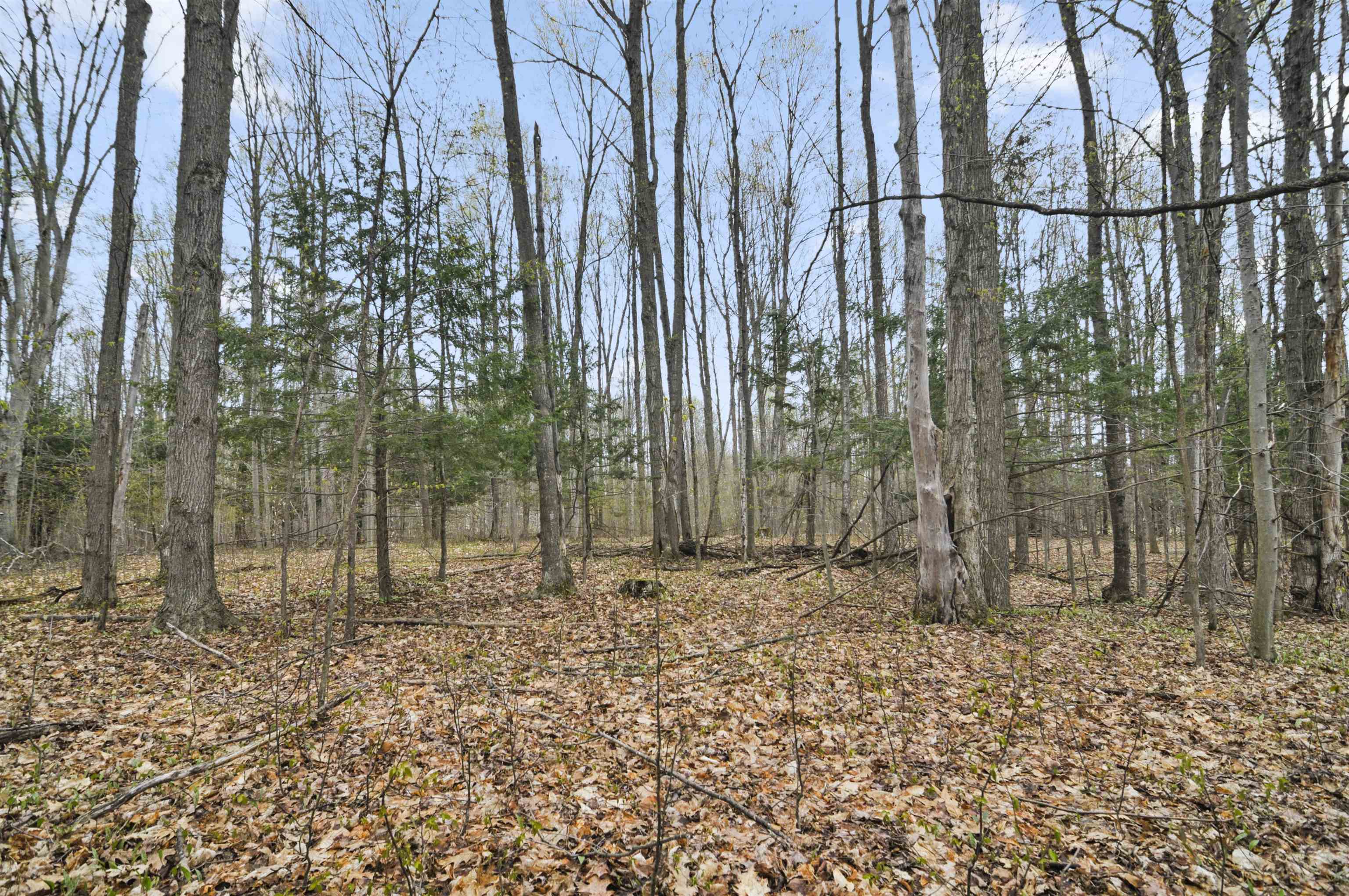 2561 East Johnson Road Lake City, MI 49651 - Photo 50 of 63