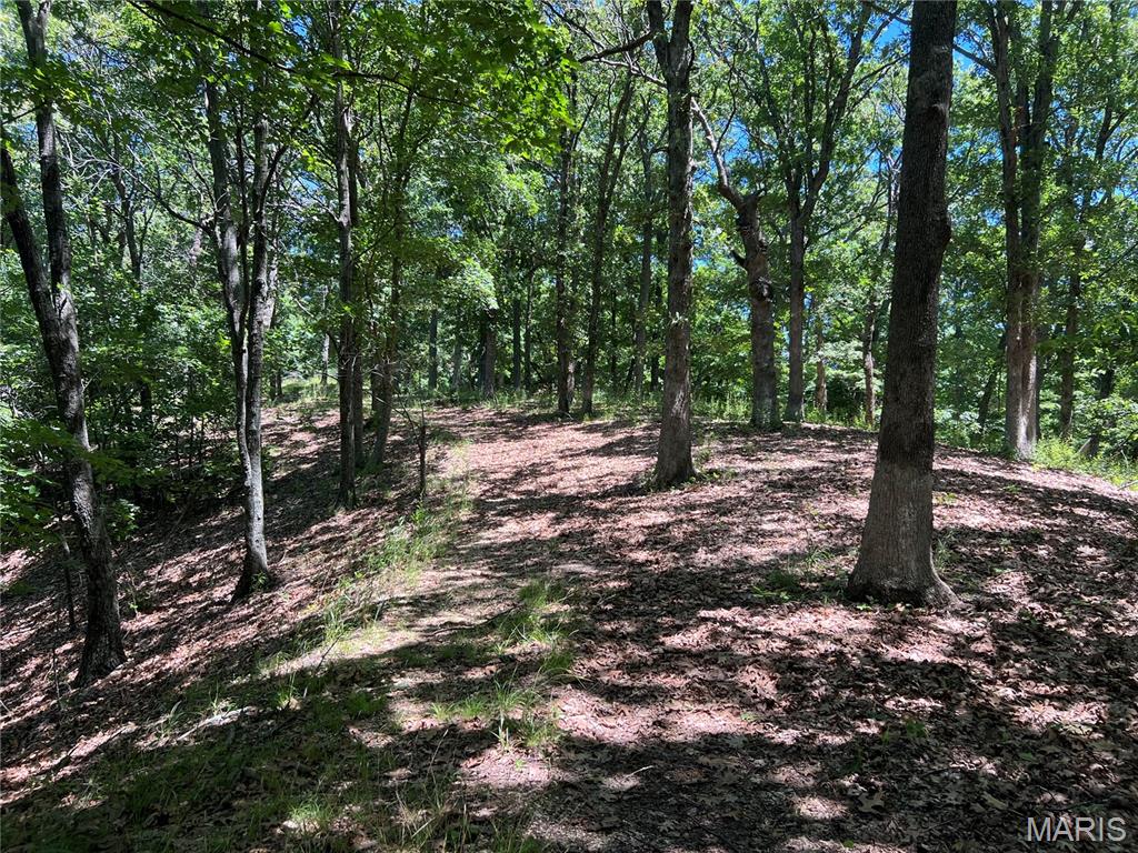 1055 Wings Road St. Albans, MO 63073 - Photo 10 of 21