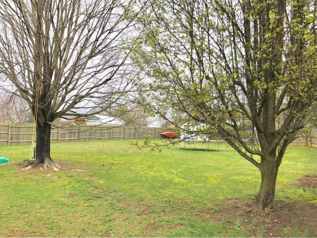 97 Winding Way Road Bristol, VA 24201 - Photo 4 of 18 Photo 4