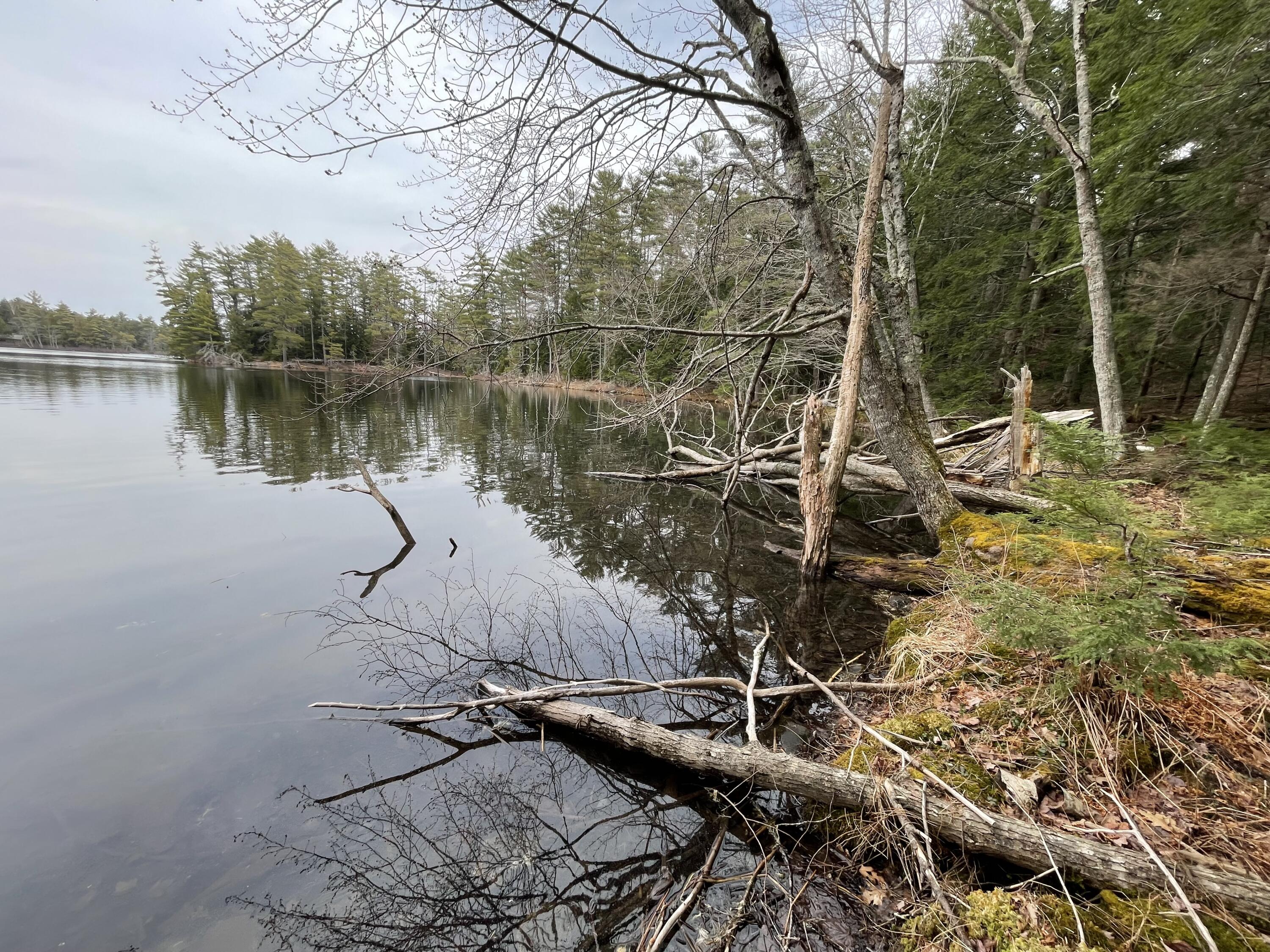0 Wood Road Jefferson, ME 04348 - Photo 7 of 14