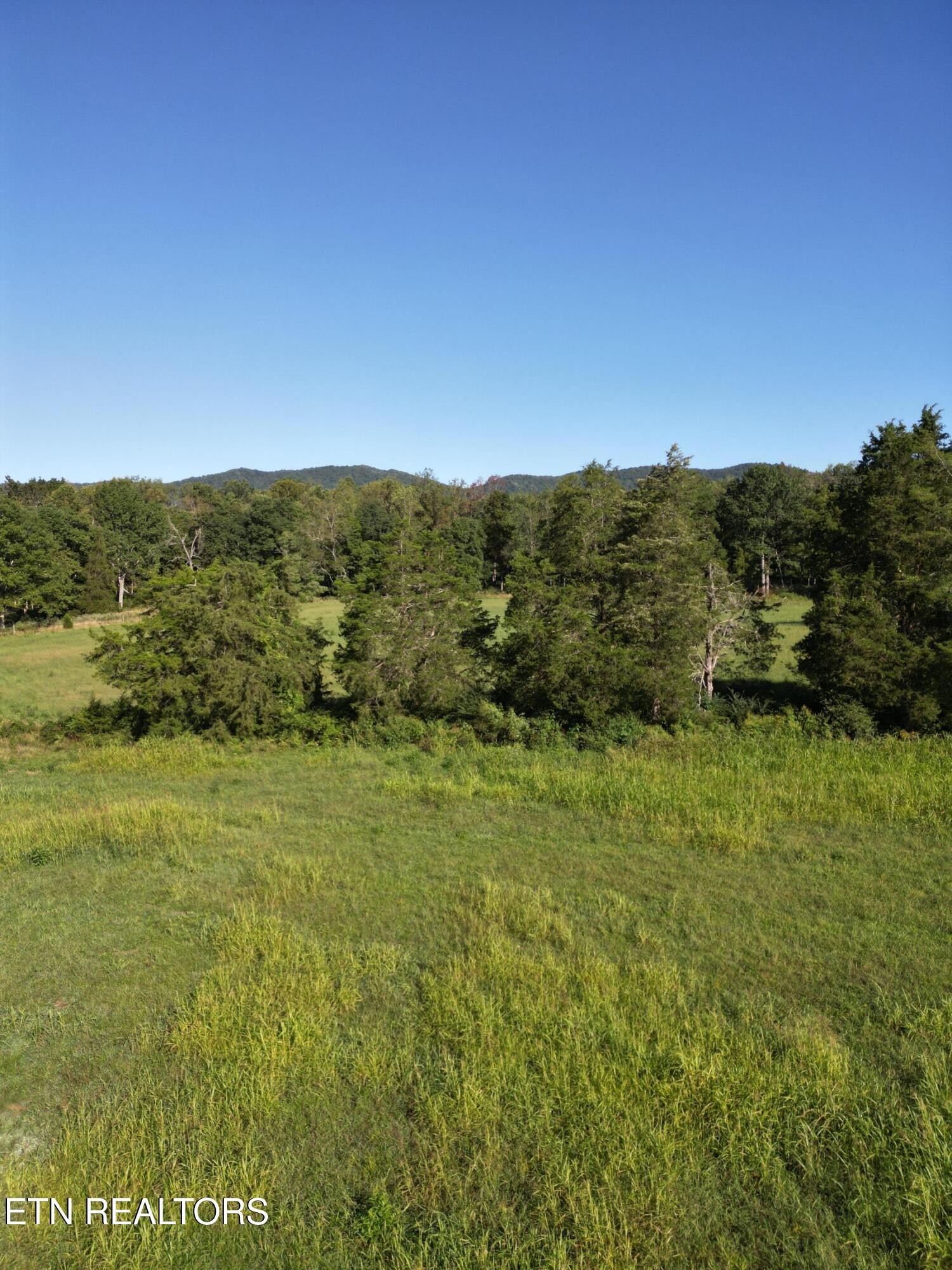 317 Singleton Hollow Road Speedwell, TN 37870 - Photo 11 of 23 a view of a field with an ocean