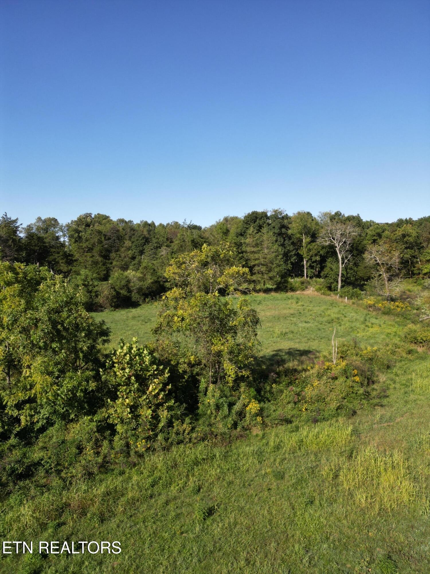 317 Singleton Hollow Road Speedwell, TN 37870 - Photo 12 of 23 a view of a field of grass and trees