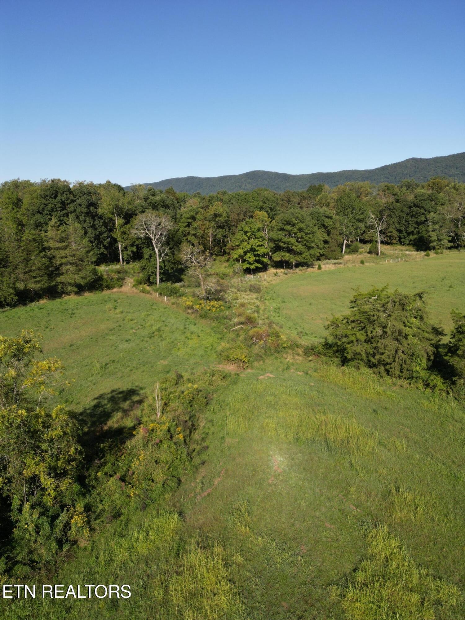 317 Singleton Hollow Road Speedwell, TN 37870 - Photo 13 of 23 a view of lake view and mountain
