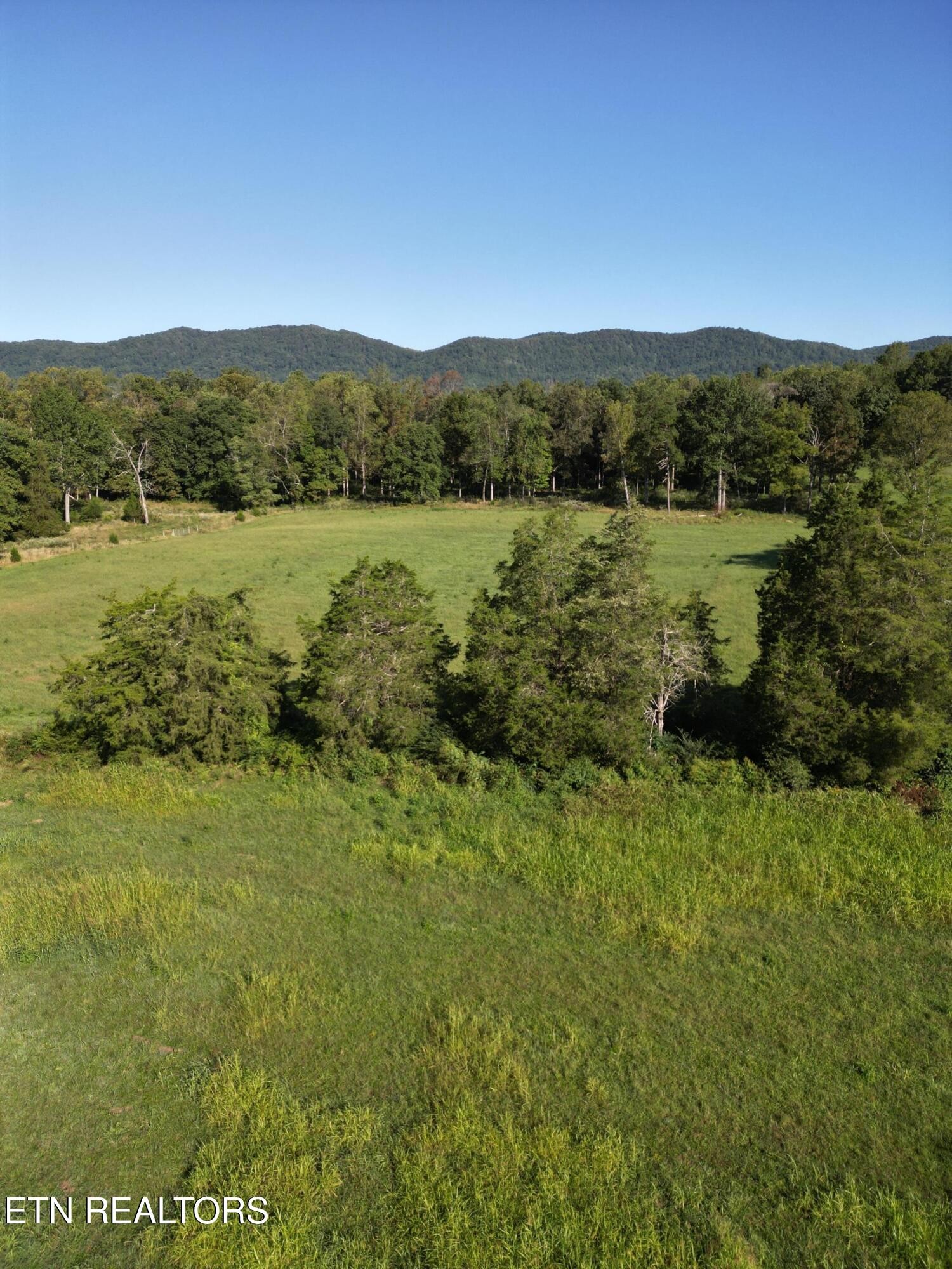 317 Singleton Hollow Road Speedwell, TN 37870 - Photo 14 of 23 a view of lake and mountain