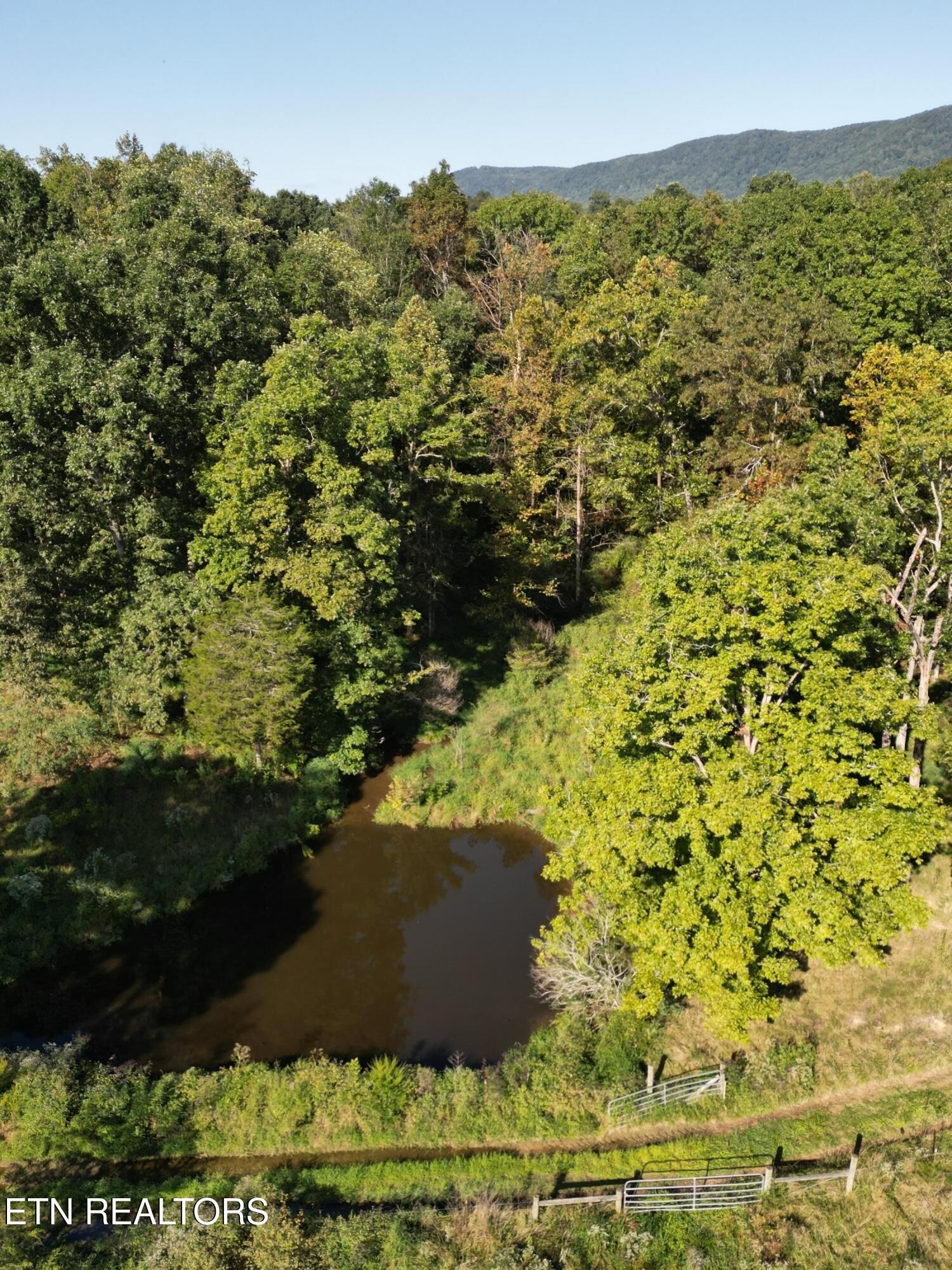 317 Singleton Hollow Road Speedwell, TN 37870 - Photo 16 of 23