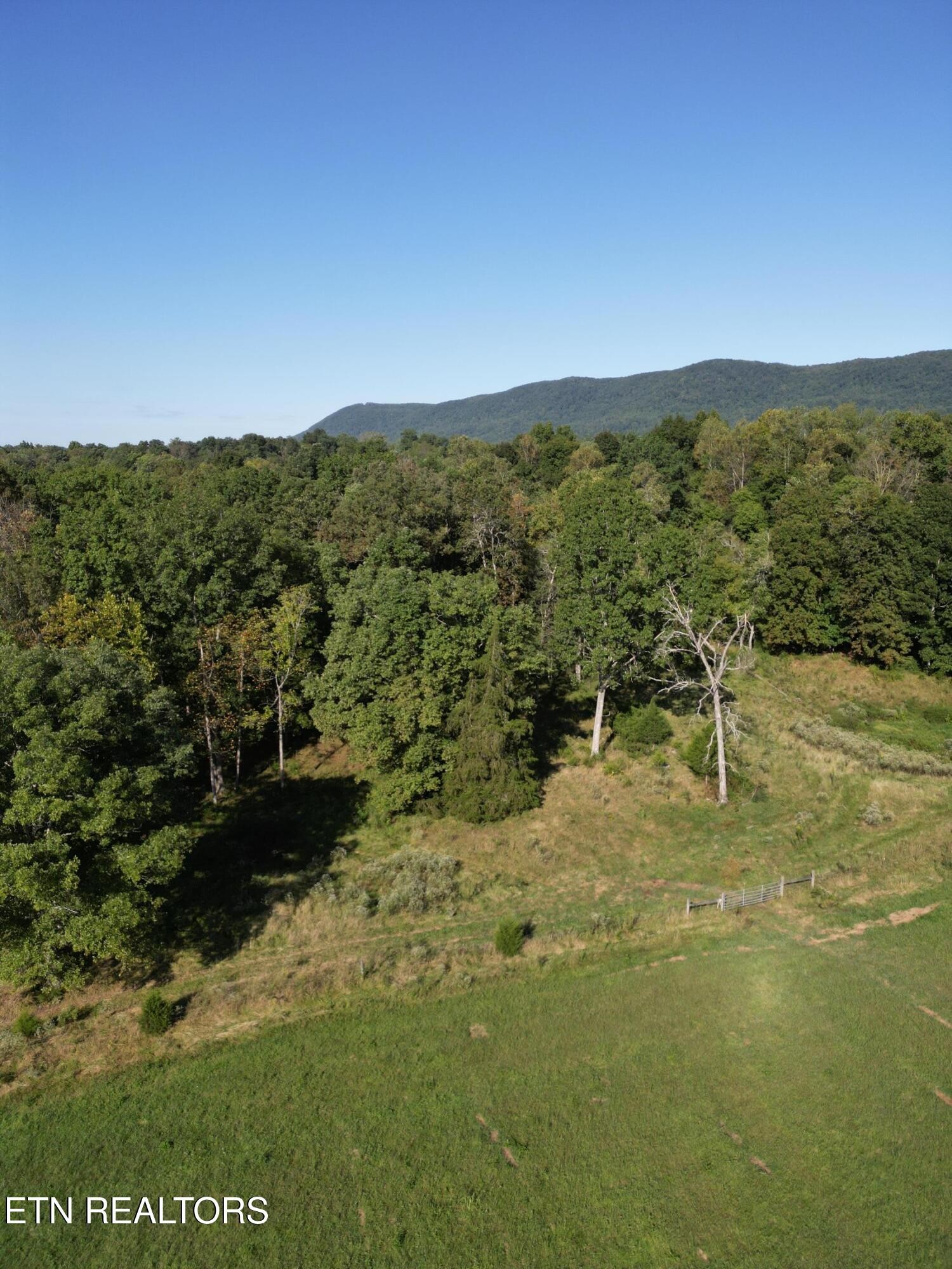 317 Singleton Hollow Road Speedwell, TN 37870 - Photo 20 of 23 a view of a lake with a mountain in the background
