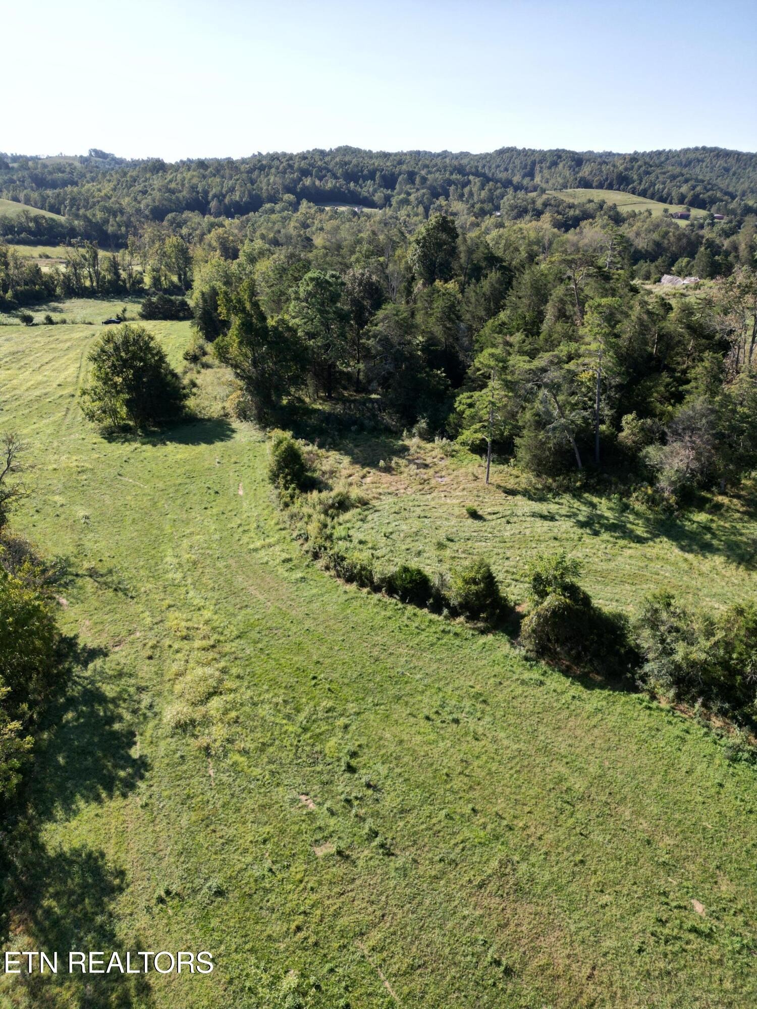 317 Singleton Hollow Road Speedwell, TN 37870 - Photo 22 of 23 a view of a lush green field with mountains in the background