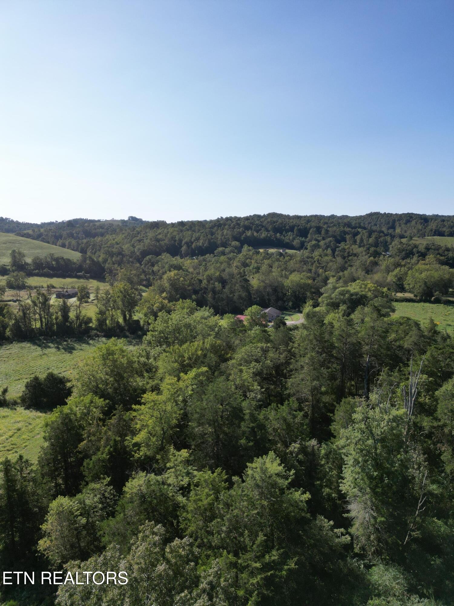 317 Singleton Hollow Road Speedwell, TN 37870 - Photo 23 of 23