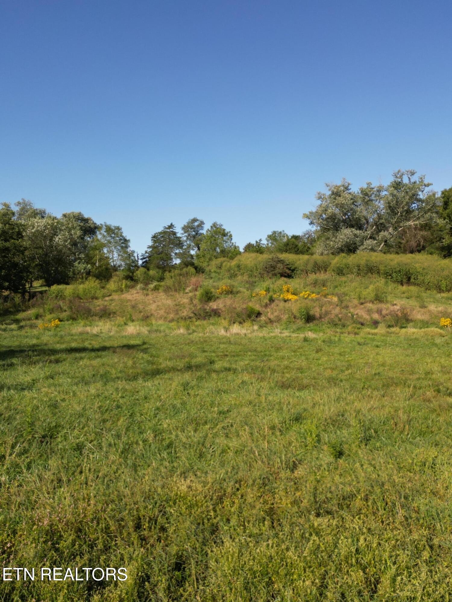 317 Singleton Hollow Road Speedwell, TN 37870 - Photo 3 of 23 a view of a field with an ocean