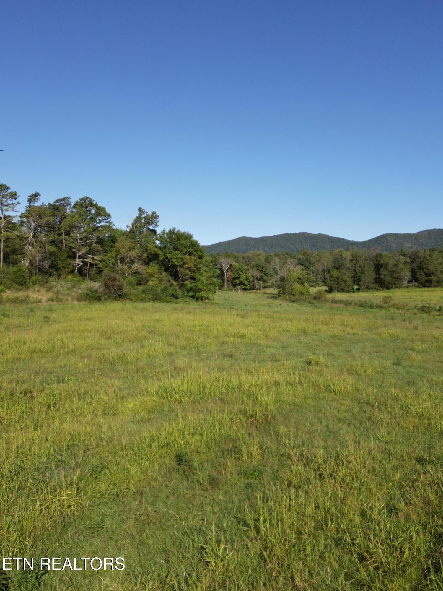 317 Singleton Hollow Road Speedwell, TN 37870 - Photo 6 of 23 a view of a lake with mountains in the background