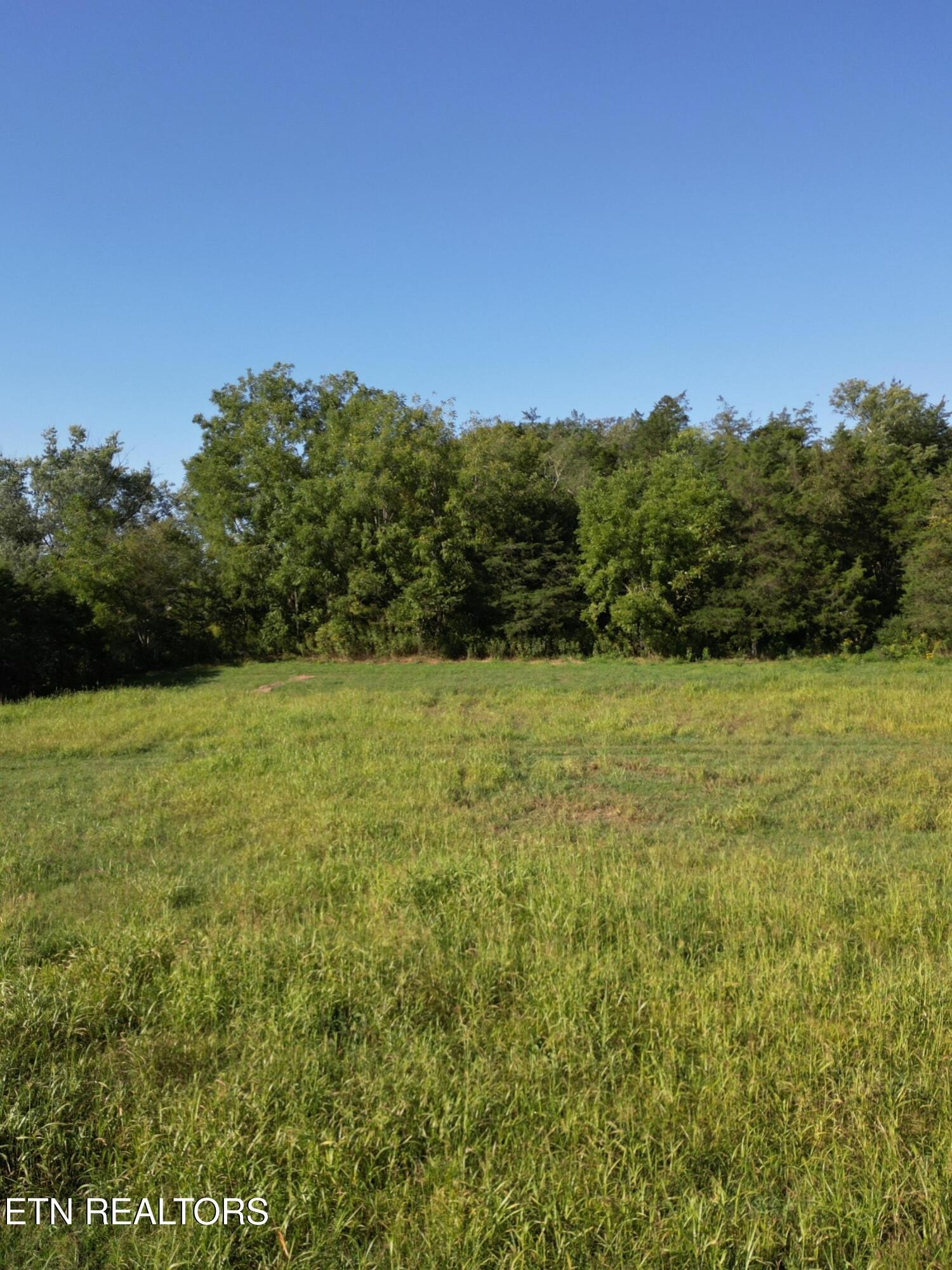 317 Singleton Hollow Road Speedwell, TN 37870 - Photo 7 of 23 a view of a field with an ocean