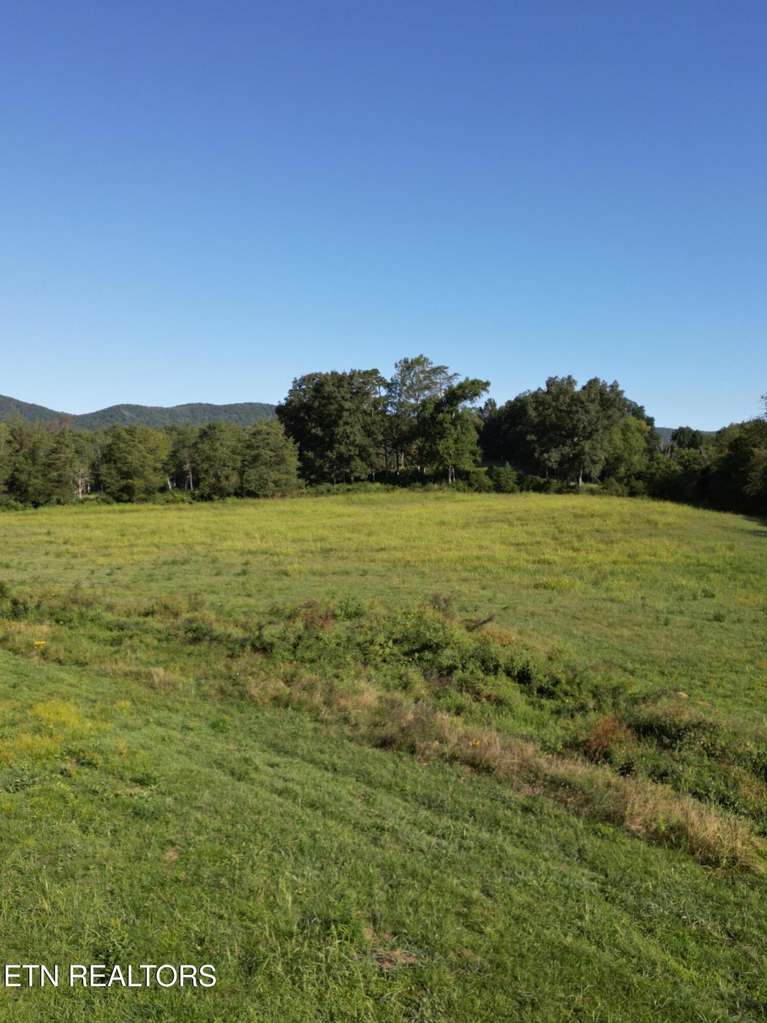 317 Singleton Hollow Road Speedwell, TN 37870 - Photo 8 of 23 a view of an ocean from a yard