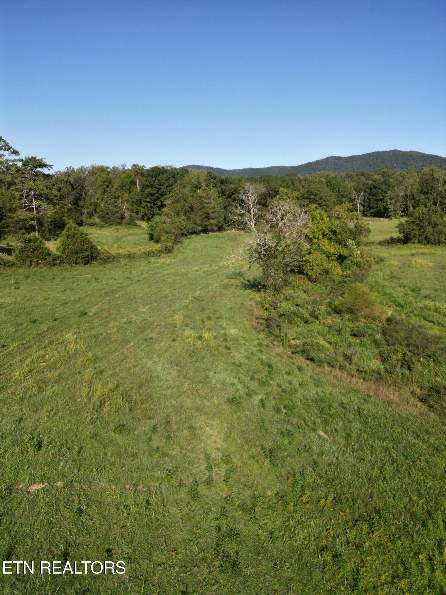 317 Singleton Hollow Road Speedwell, TN 37870 - Photo 10 of 23 a view of mountains and valleys