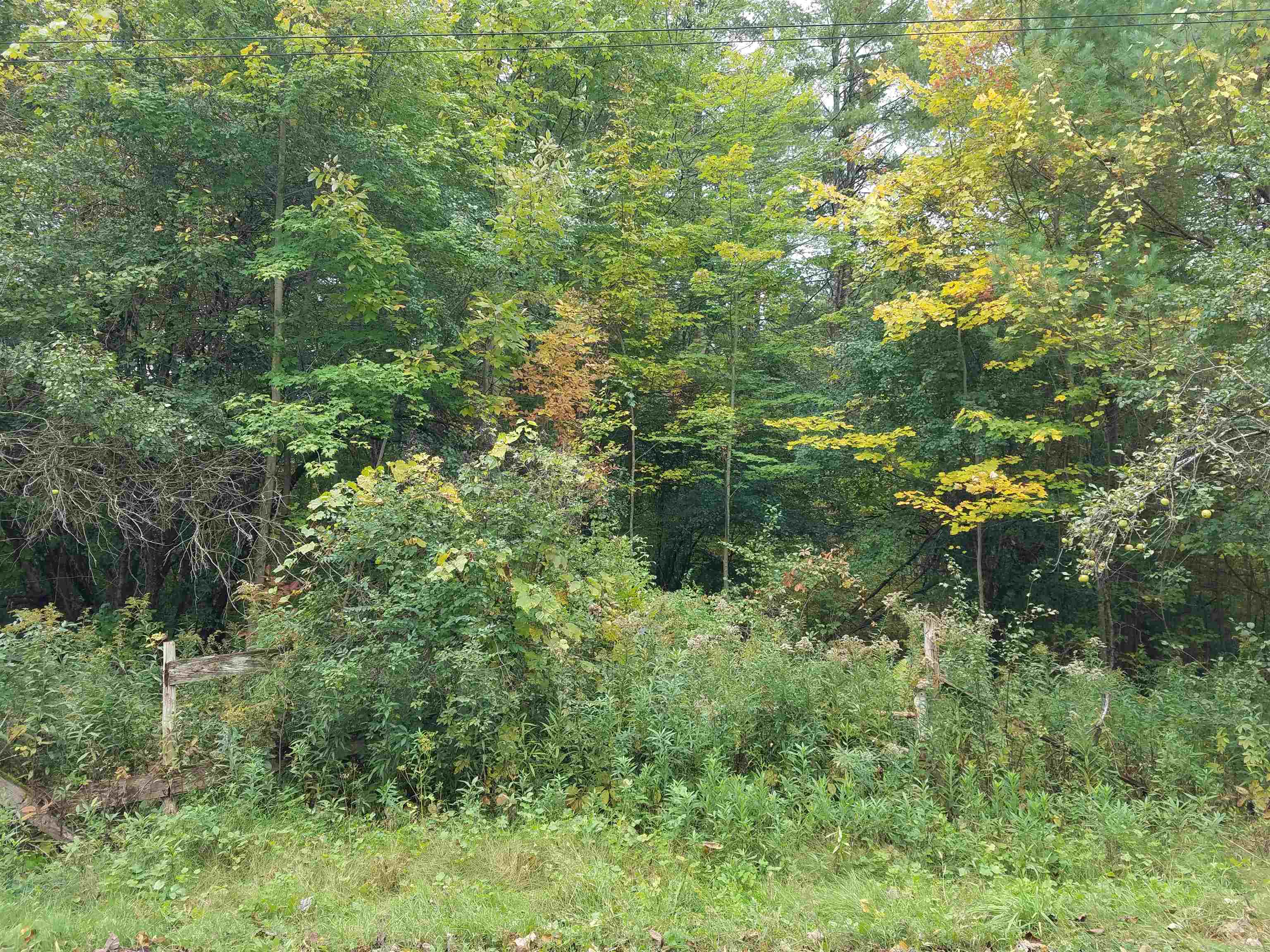 1533 Fiddle Hill Road Sudbury, VT 05733 - Photo 5 of 6 Gallery Image 5