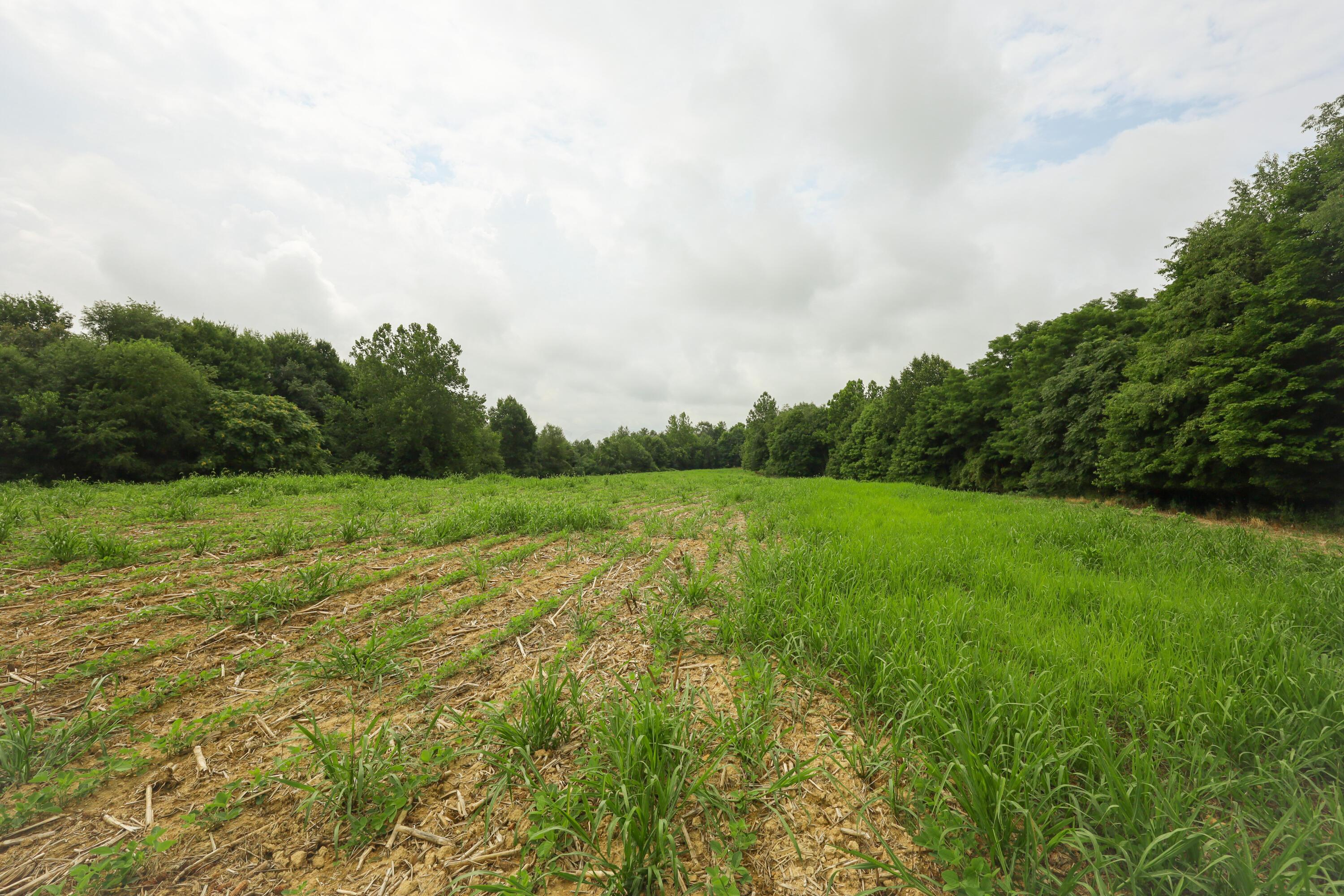 0 North Butler Liberty Road Butler, OH 44822 - Photo 26 of 47 IMG_0905