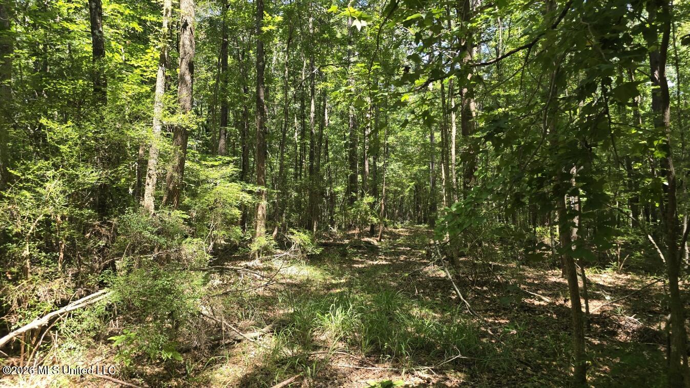 3995 Choctaw Road Brookhaven, MS 39601 - Photo 36 of 73 20260709_114313