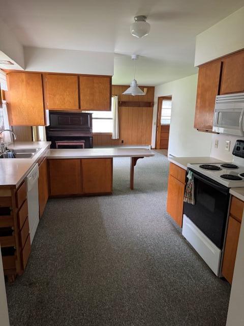 723 South Mill Street Reed City, MI 49677 - Photo 11 of 29 IMG_6093