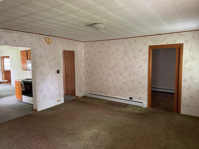723 South Mill Street Reed City, MI 49677 - Photo 15 of 29 IMG_6097