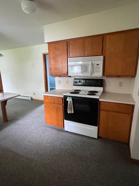 723 South Mill Street Reed City, MI 49677 - Photo 25 of 29 IMG_6107