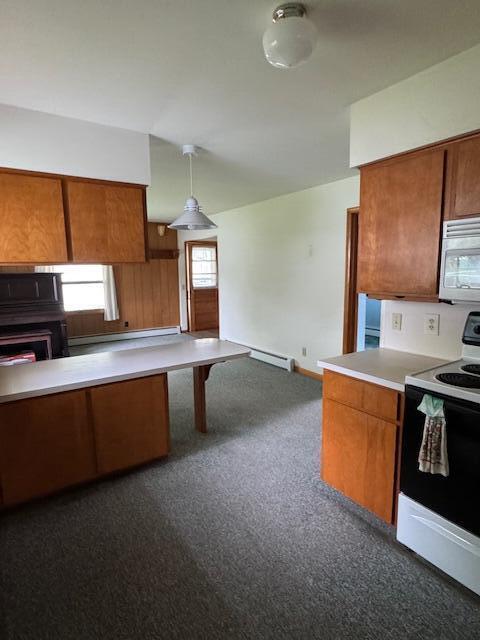 723 South Mill Street Reed City, MI 49677 - Photo 26 of 29 IMG_6108