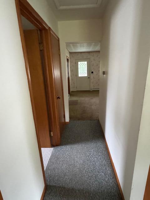 723 South Mill Street Reed City, MI 49677 - Photo 29 of 29 IMG_6111
