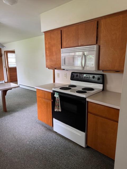 723 South Mill Street Reed City, MI 49677 - Photo 9 of 29 IMG_6091