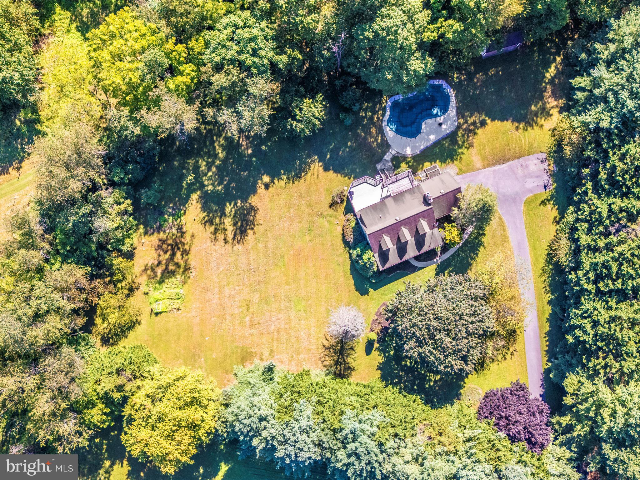 5169 Perry Road Mount Airy, MD 21771 - Photo 60 of 60 a view of a yard with plants and large trees