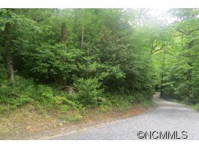 0 Costigan Road Brevard, NC 28712 - Photo 1 of 1 Gallery Image 1