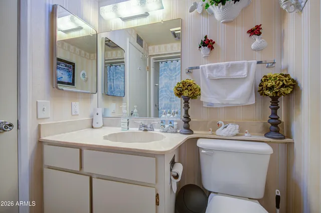 a bathroom with a sink toilet and mirror
