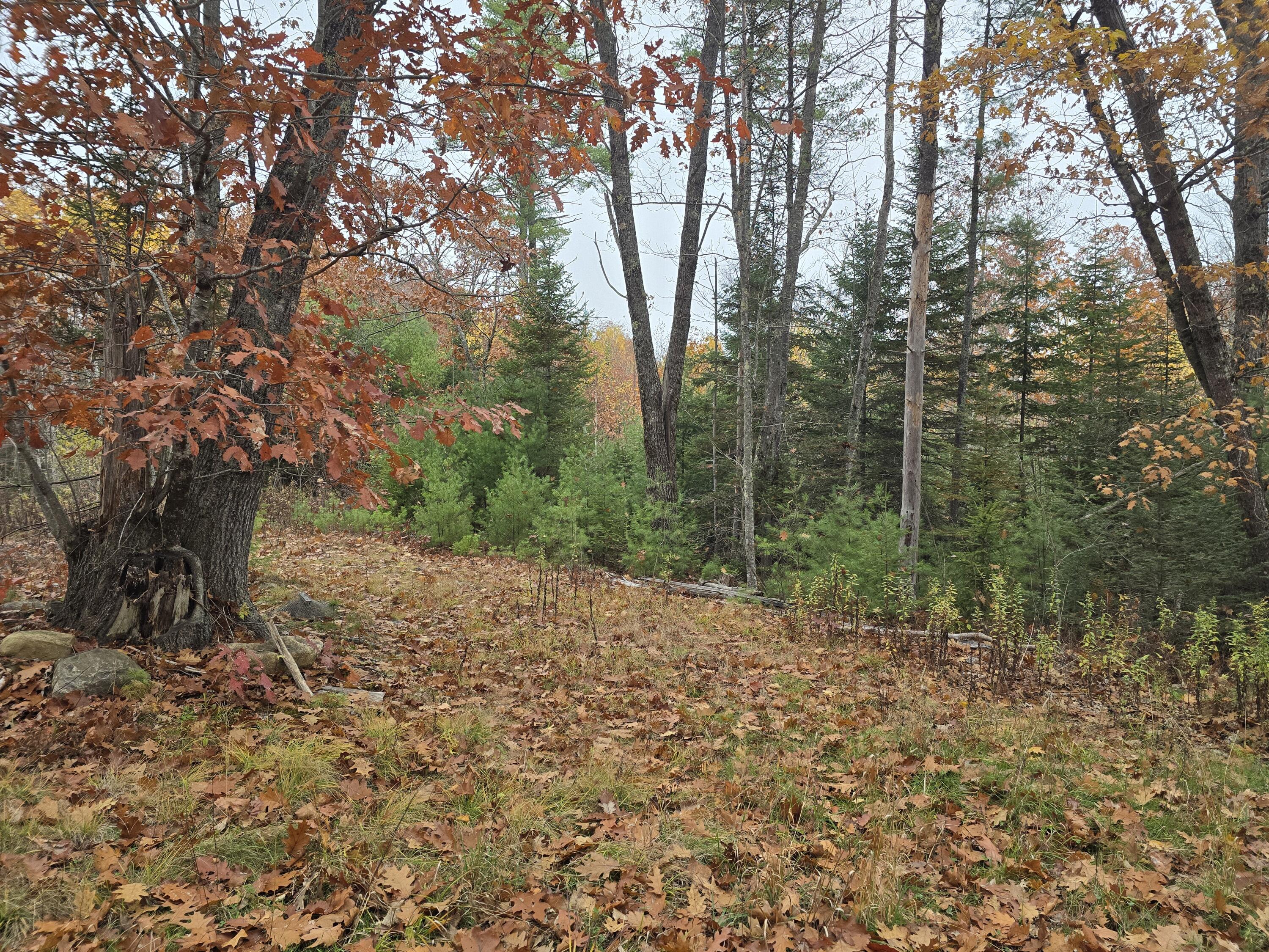 0 West Alna Road Alna, ME 04535 - Photo 4 of 11 20251030_155104