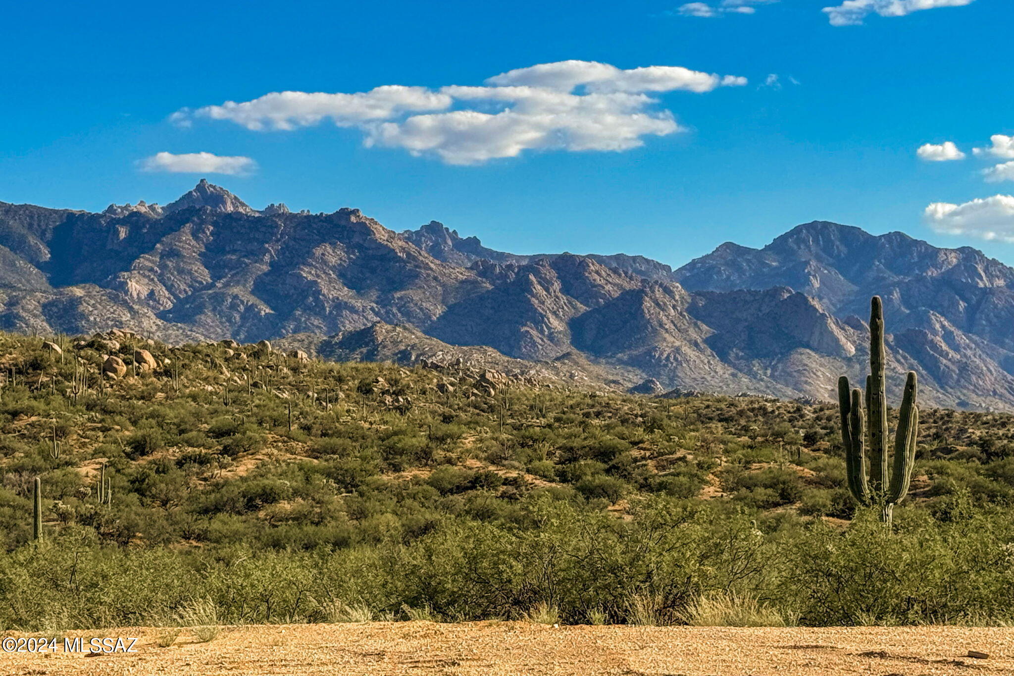 16500 North Ridge Rock Trail Tucson, AZ 85739 - Photo 4 of 29 7-web-or-mls-16500 N Ridge Rock Trail -