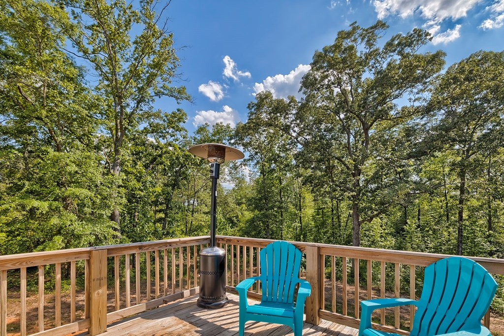 2773 Piper Road Ridge Spring, SC 29129 - Photo 8 of 30