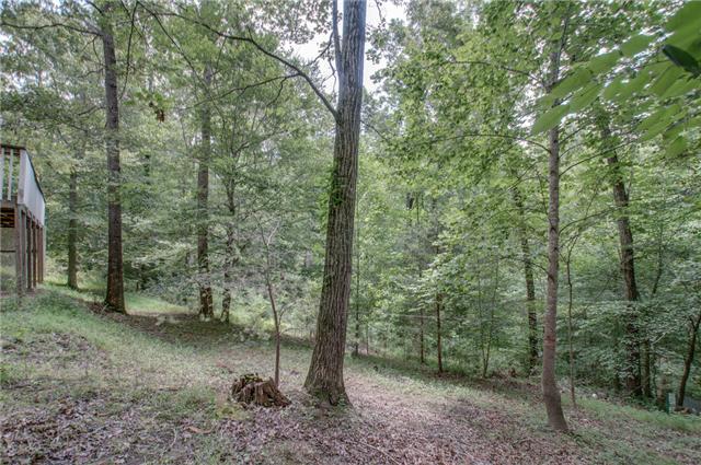 1181 Simms Heights Road Kingston Springs, TN 37082 - Photo 20 of 20 View into the backyard.