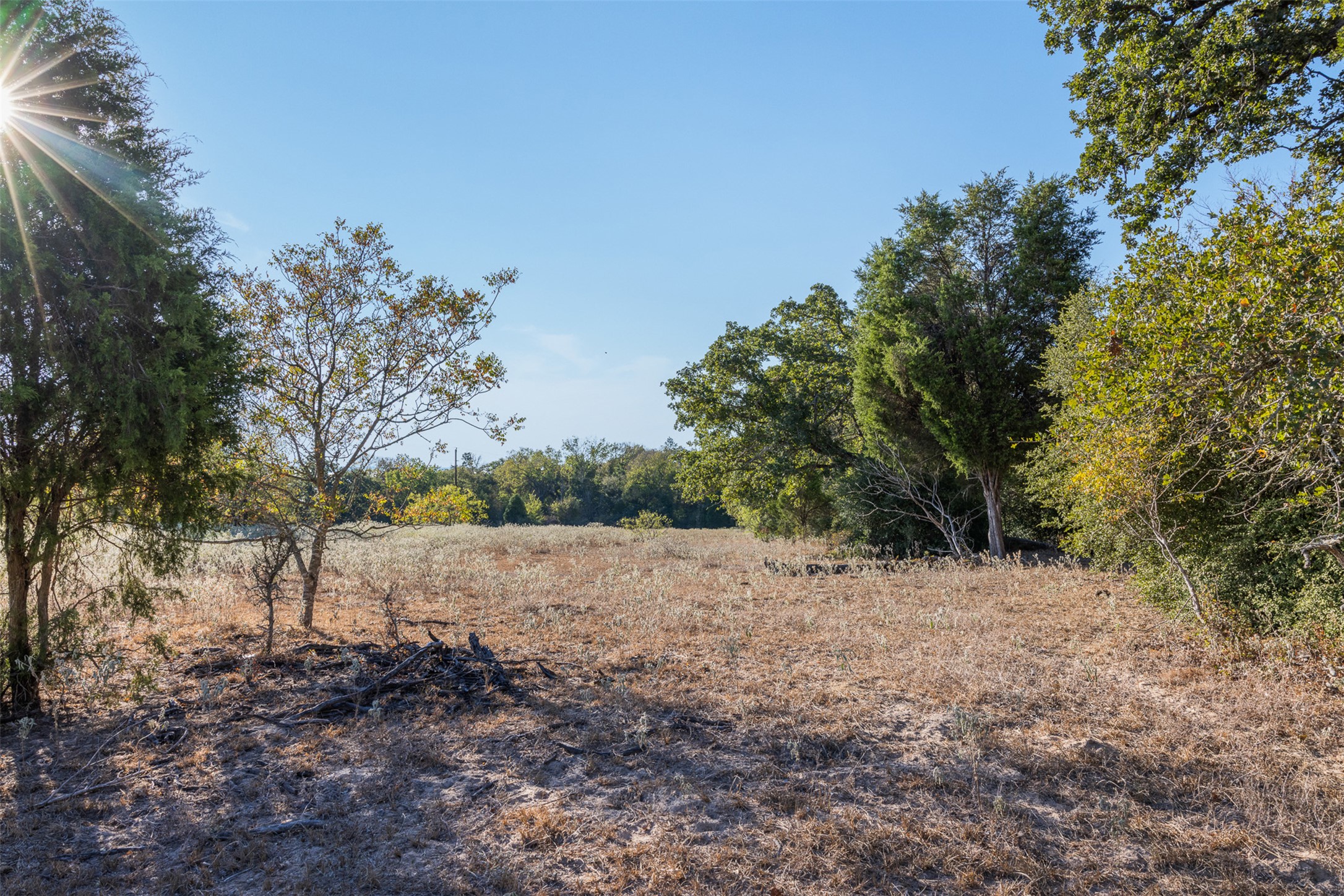 696 Tract 1 Elgin, TX 78621 - Photo 8 of 27 a view of dirt yard with a tree