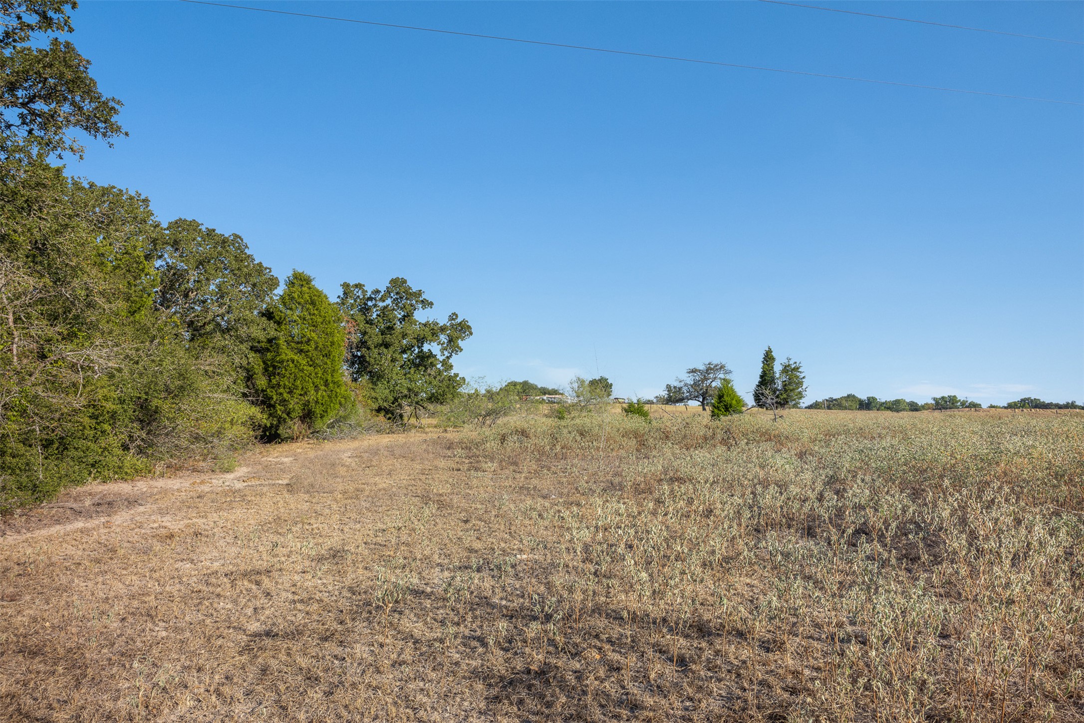 696 Tract 1 Elgin, TX 78621 - Photo 9 of 27 a view of a dry yard with trees