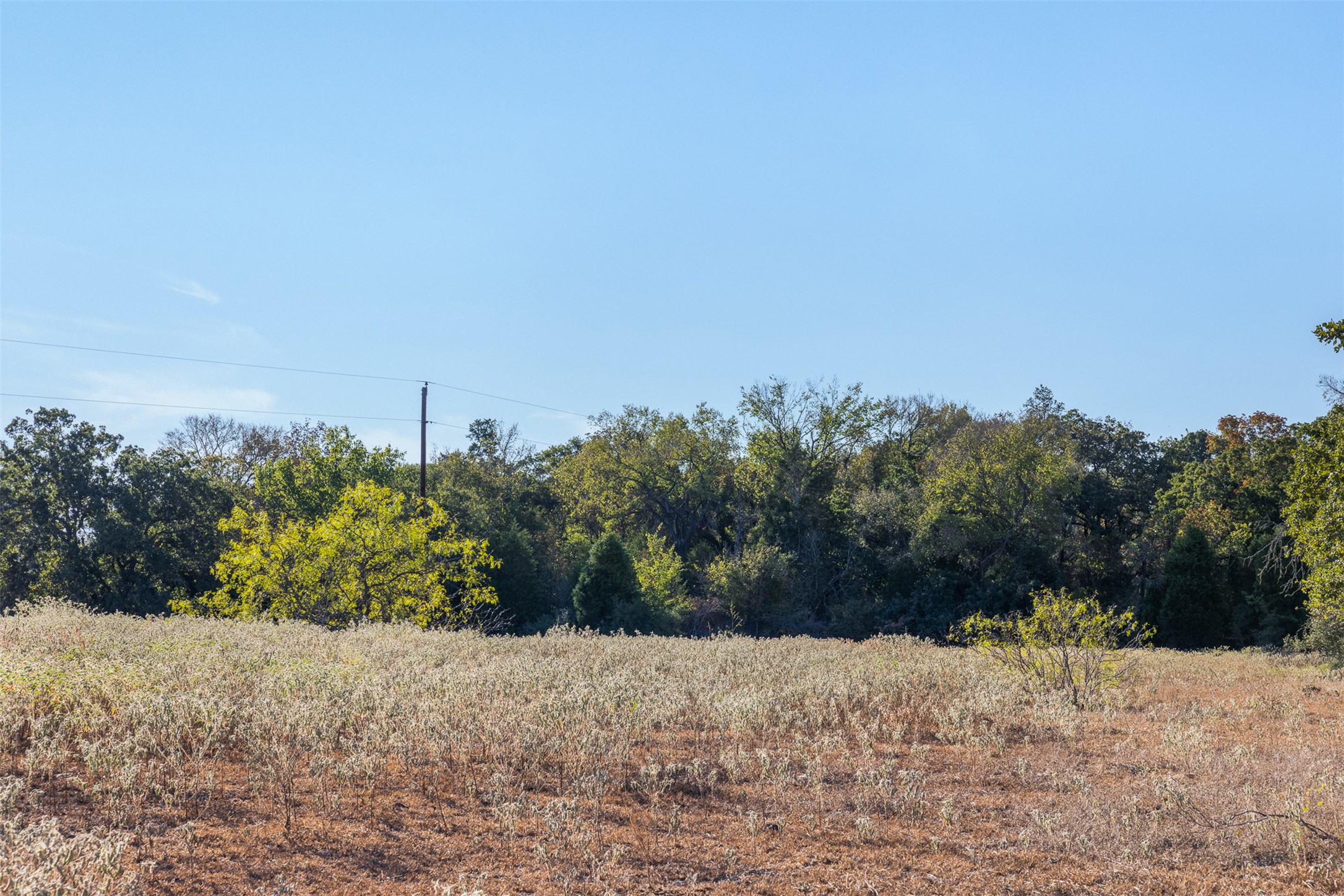 696 Tract 1 Elgin, TX 78621 - Photo 10 of 27 a view of a dry yard with trees