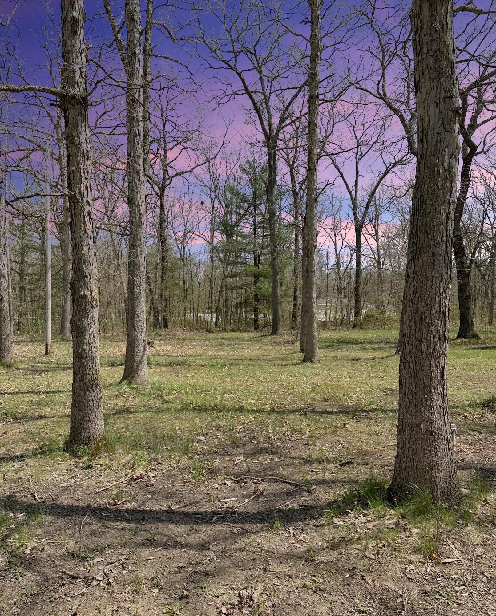4372 Moore Road Allegan, MI 49010 - Photo 17 of 22 IMG_3560