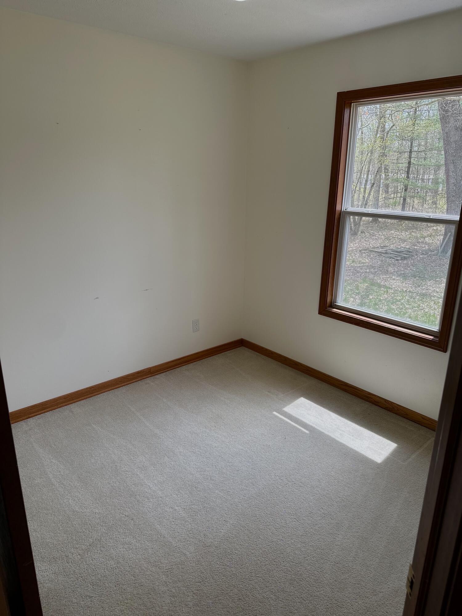 4372 Moore Road Allegan, MI 49010 - Photo 10 of 22 IMG_3558