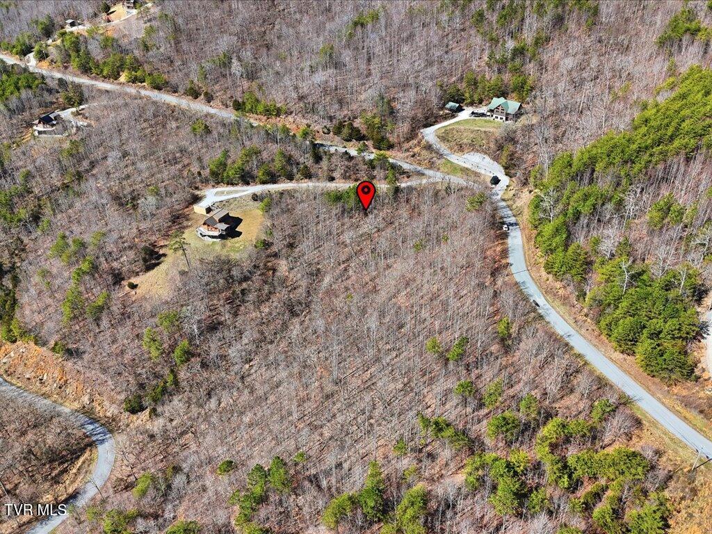Lot 717 Whistle Valley Road, Unit 717 New Tazewell, TN 37825 - Photo 11 of 37 Lot 717 Whistle Valley Rd - 10