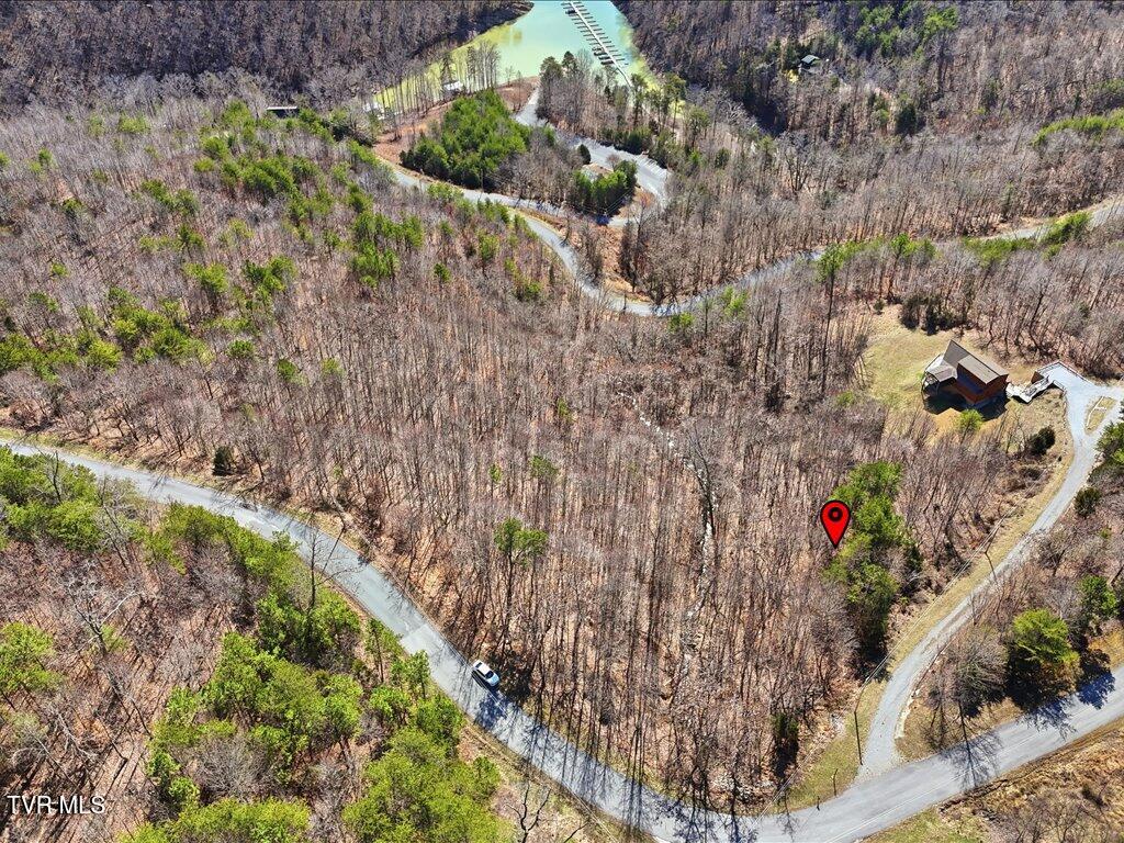 Lot 717 Whistle Valley Road, Unit 717 New Tazewell, TN 37825 - Photo 16 of 37 Lot 717 Whistle Valley Rd - 15
