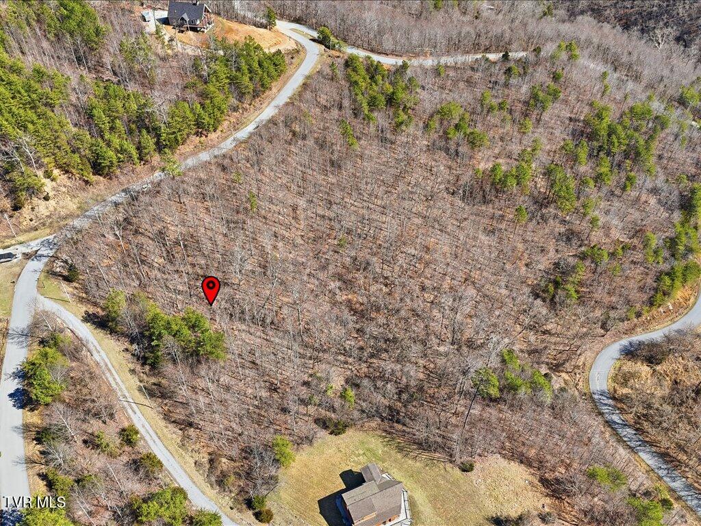 Lot 717 Whistle Valley Road, Unit 717 New Tazewell, TN 37825 - Photo 20 of 37 Lot 717 Whistle Valley Rd - 19