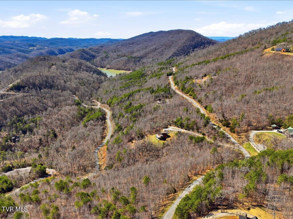 Lot 717 Whistle Valley Road, Unit 717 New Tazewell, TN 37825 - Photo 34 of 37 Lot 717 Whistle Valley Rd - 33
