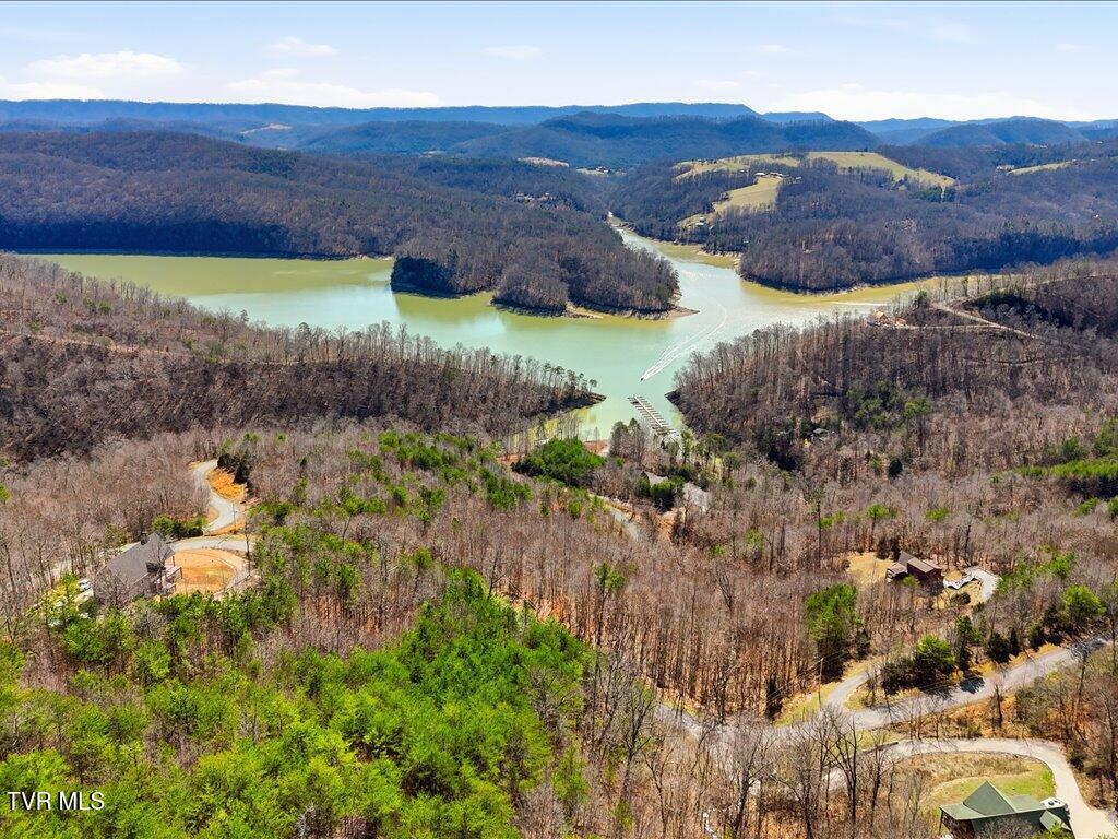 Lot 717 Whistle Valley Road, Unit 717 New Tazewell, TN 37825 - Photo 36 of 37 Lot 717 Whistle Valley Rd - 35