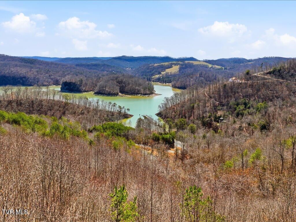 Lot 717 Whistle Valley Road, Unit 717 New Tazewell, TN 37825 - Photo 5 of 37 Lot 717 Whistle Valley Rd - 4