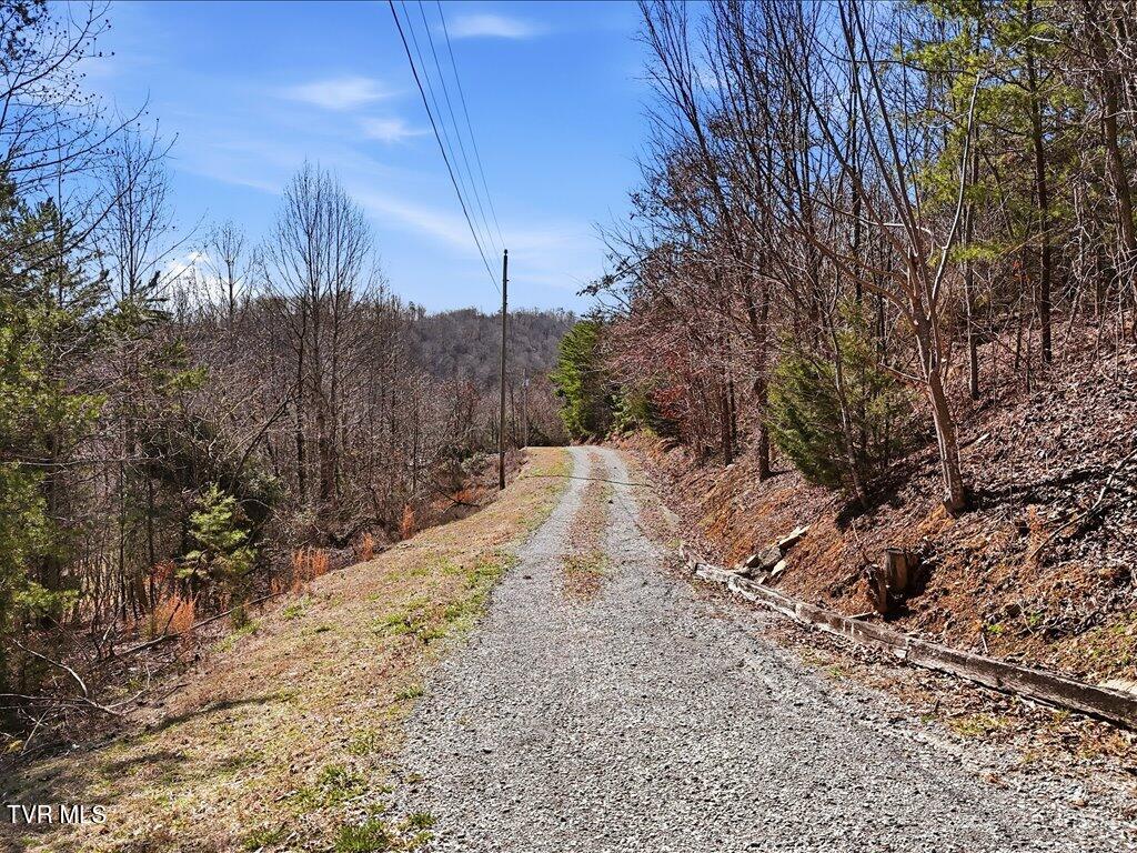 Lot 717 Whistle Valley Road, Unit 717 New Tazewell, TN 37825 - Photo 9 of 37 Lot 717 Whistle Valley Rd - 8