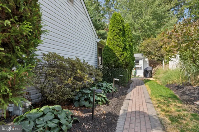 a view of a yard with plants and large trees