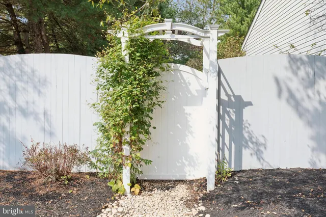 a view of a yard with plants and large trees